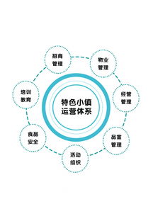 專訪光合文化創意集團董事長趙興朋 特色小鎮是個有機生命體，數字文化創意內容的應用與服務